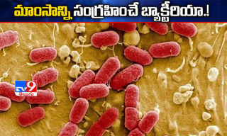 ఏపీకి గుడ్ న్యూస్.. విజయసాయి రెడ్డికి కేంద్ర ఆర్థిక మంత్రి హామీ