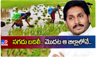 విజయసాయికి తీపికబురు