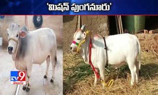 వీఆర్ఓపై పెట్రోల్ తో దాడి.. అప్రమత్తంతో తప్పినముప్పు