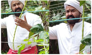 దసరాకు ముహూర్తం.. ధరణి పోర్టల్ ప్రారంభం..