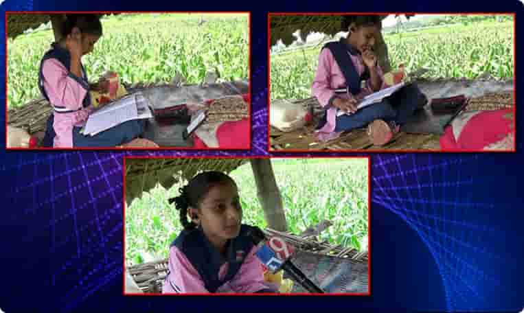 మక్కతోట మంచెపై ఆన్లైన్ క్లాసులు..