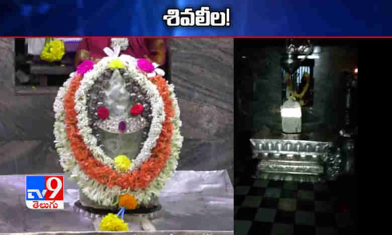 పాలకొల్లులో అద్భుత దృశ్యం..సమస్త రోగాలకు వివృత్తి !