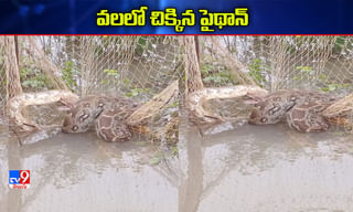 రైతు బిడ్డ ఆవేదన…చిన్న వయసులోనే ఆకాశమంత ఆలోచన?