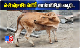 దుబ్బాకలో పొలిటికల్ హీట్ షురూ