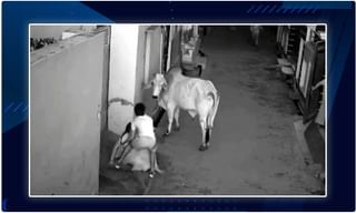 యోగీని గోరఖ్‌పూర్‌ మఠానికి పంపించాలంటున్న మాయావతి