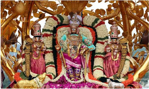 కల్పవృక్ష వాహనంపై ఊరేగిన దేవదేవుడు
