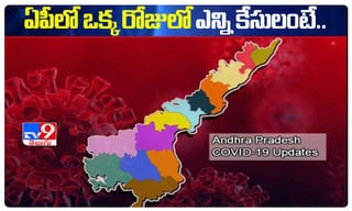 ‘పడిలేచిన కెరటం’ దినేష్ కార్తీక్.. బ్యాట్‌ ఝుళిపించాడు!