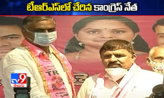 పిల్లి పిల్ల‌ అనుకుని కొన్నారు..తీరా రెండేళ్ల తర్వాత..!