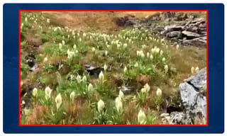 రాకేష్ రోషన్ పై నాడు హత్యాయత్నం జరిపిన క్రిమినల్ అరెస్ట్