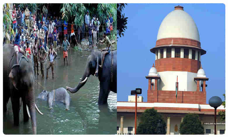 కేరళలో ఏనుగుల వధ, కేంద్రానికి, రాష్ట్రానికి సుప్రీంకోర్టు నోటీసులు