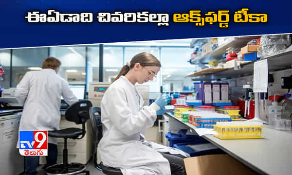 ఈ ఏడాది చివరికల్లా ఆక్స్ఫర్డ్ వ్యాక్సిన్..!