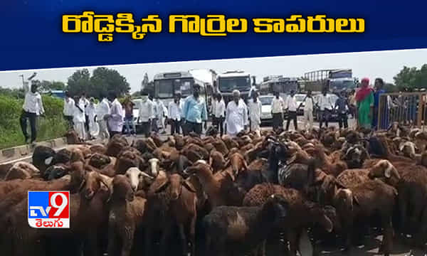 గొర్రెల, మేకల పెంపకందారుల ఆందోళన..రోడ్డెక్కి రాస్తారోకో