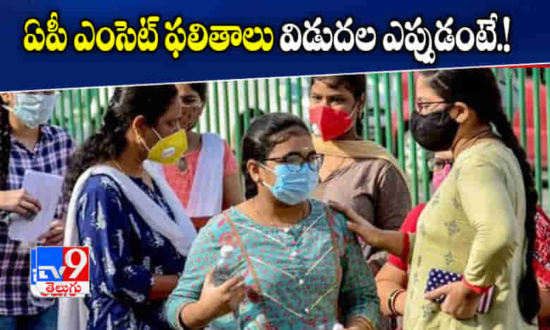 AP Eamcet 2020: ఏపీ ఎంసెట్ ఫలితాలు విడుదల ఎప్పుడంటే..!