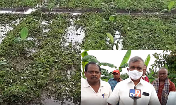 తాడేపల్లి పరిధిలో పంటనష్టం.. సిపిఎం నేతల పరిశీలన