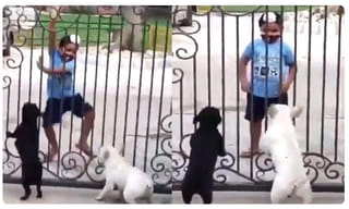 ఇడ్లీ ఇలా చేసుకోండి.. ఇక రెచ్చిపోండి : సమంత, ఉపాసన