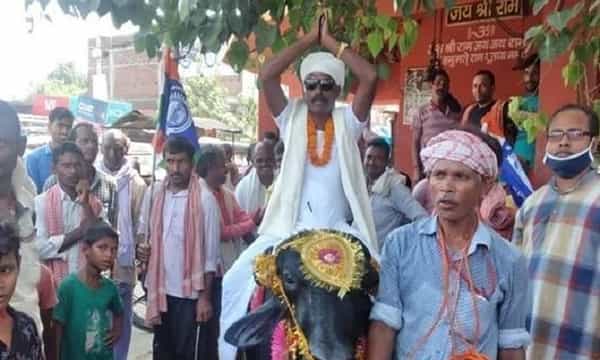 గేదెపై ఎమ్మెల్యే అభ్యర్థి ప్రచారం.. పోలీసు కేసు నమోదు..!
