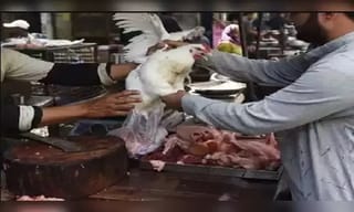 కవితకు శుభాకాంక్షల వెల్లువ