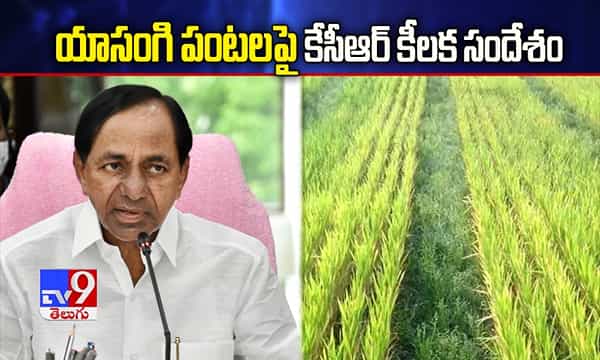 యాసంగి పంటలపై కేసీఆర్ కీలక సందేశం