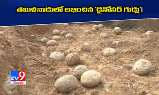 కరవాలంతో బర్త్‌డే కేకు కోసాడు… కటకటాల వెనక్కి వెళ్లాడు