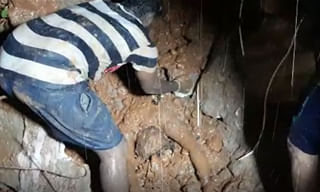 స్పెయిన్ బుల్ ఖాతాలో మరో గ్రాండ్‌స్లామ్‌ టైటిల్