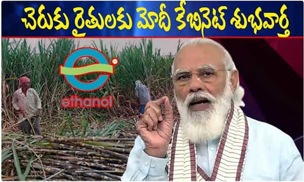 చెరుకు రైతులకు మోదీ కేబినెట్ శుభవార్త
