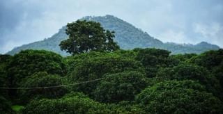 Rubber Shed: శంషాబాద్‌ విమానాశ్రయంలో విమానాల సర్వీసింగ్‌ కోసం రబ్బర్‌ షెడ్డు.. ఆసియాలోనే మొట్టమొదటిదట..!