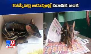 ఎయిర్‌పోర్టులో కోట్లు విలువ చేసే బంగారం, వారికి బిగుస్తోన్న ఉచ్చు