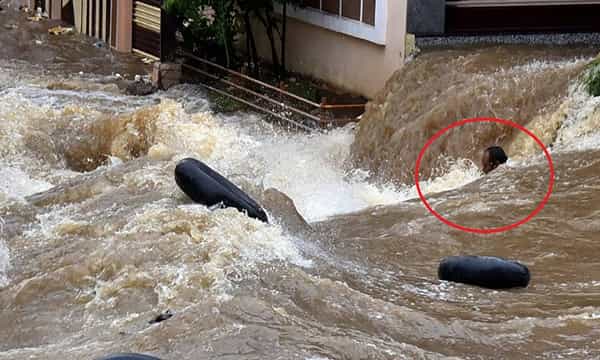 భారీ వర్షాలకు హైదరాబాద్లో 30 మంది..