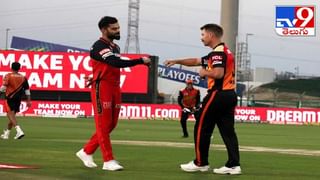 ‘కేన్ మామ’ వీరోచిత పోరాటం.. క్వాలిఫయర్స్‌కు సన్‌రైజర్స్..