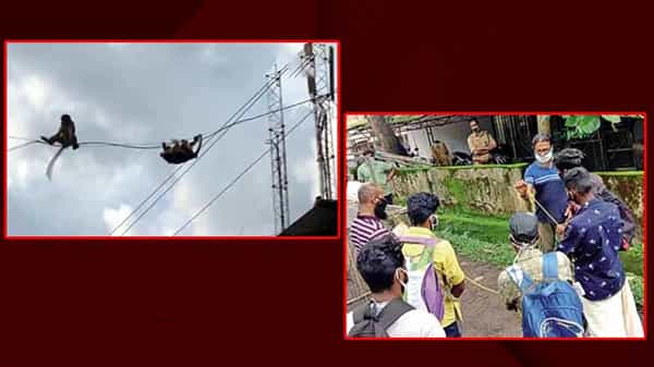 స్థానిక సంస్థల ఎన్నికల్లో పోటీ చేస్తున్నవారికి జనం నుంచి ఎదురవుతోన్న విచిత్ర విన్నపం...!