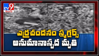 గ్రేటర్ లో విధ్వంస రాజకీయం