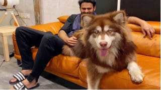 అనసూయకు మరో క్రేజీ ఆఫర్‌.. మాస్‌రాజా సినిమాలో..!