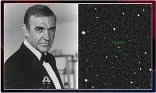 నచ్చినవారితో కలిసి ఉండటం తప్పేమీ కాదన్న  అలహాబాద్‌ హైకోర్టు