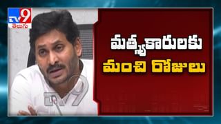 గ్రేటర్ లో జంపింగ్ జపాంగ్ లు