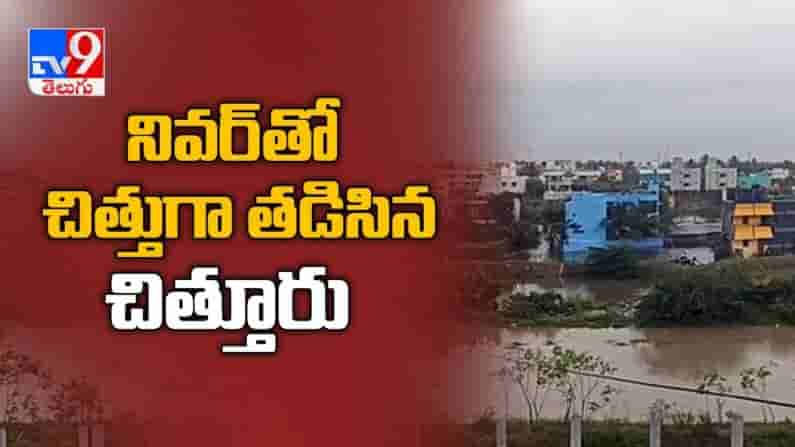 Nivar cyclone Effect : Chittoor జిల్లాలో వందల ఎకరాల్లో వరిపంట నష్టం