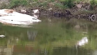 వరలక్ష్మి హత్య కేసు: అఖిల్ ఒక్కడే నిందితుడు