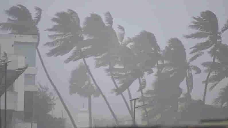 నివర్ తుఫాన్ ఎఫెక్ట్.. చెట్టు మీద పడి వ్యక్తి మృతి.. సిసి కెమెరాలో రికార్డైన దృశ్యాలు...