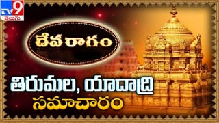 స్వర్ణ దేవాలయంలో మిన్నంటిన దీపావళి సంబరాలు