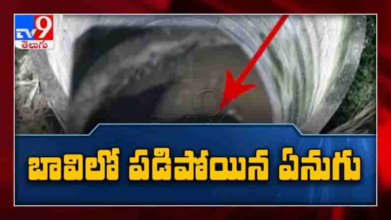 బావి లో పడిపోయిన ఏనుగు