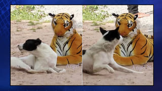 దుబ్బాకతో తెలంగాణ రాజకీయ ముఖచిత్రం మారుతుందా?