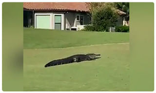 షాకింగ్ ట్వీట్ చేసిన బ్యాడ్మింటన్‌ పీవీ సింధు