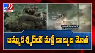 గొడుగు పట్టుకొని బస్సు నడుపుతున్న డ్రైవర్