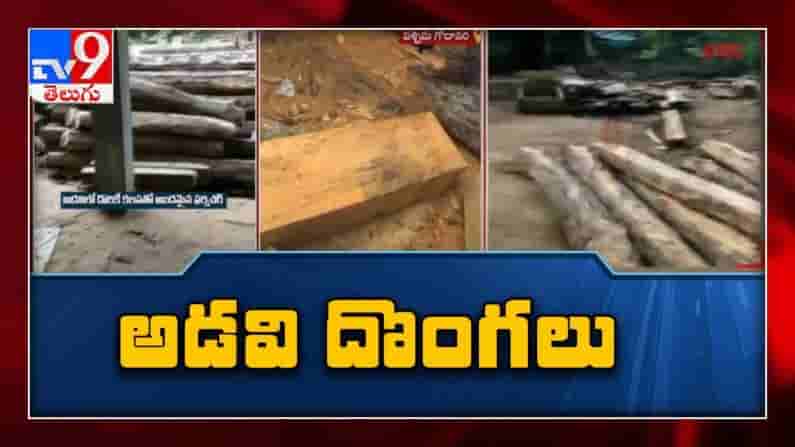 కోట్ల సంపదను కొల్లగొడుతున్న అడవి దొంగలు