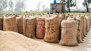 తల్లి పక్కన నిద్రిస్తున్న బాలిక అపహరణ.. సామూహిక అత్యాచారం.. ఆపై చంపేసి మురికి గుంటలో విసిరి..