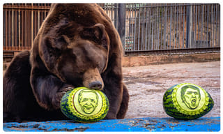 కేంద్రంపై కేటీఆర్ ధ్వజం