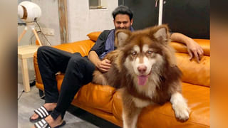 విజయ్.. పొలిటికల్ హీట్‌ను మరిపించేందుకేనా?