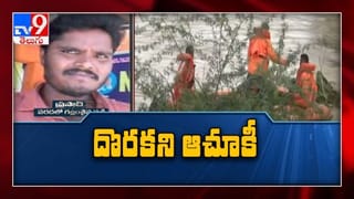 Nivar cyclone Effect : Chittoor జిల్లాలో వందల ఎకరాల్లో వరిపంట నష్టం