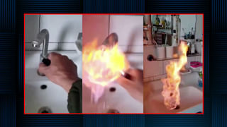 కమలం -పులి : ఆసక్తిగా మారిన నడ్డా-పవన్ సమావేశం