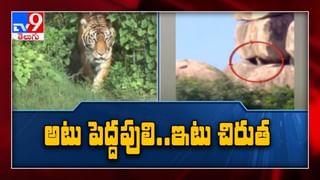 Crackers కాలిస్తే అరెస్ట్ తప్పదు