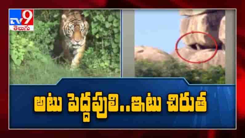 ప్రజలను వణికిస్తున్న చిరుత